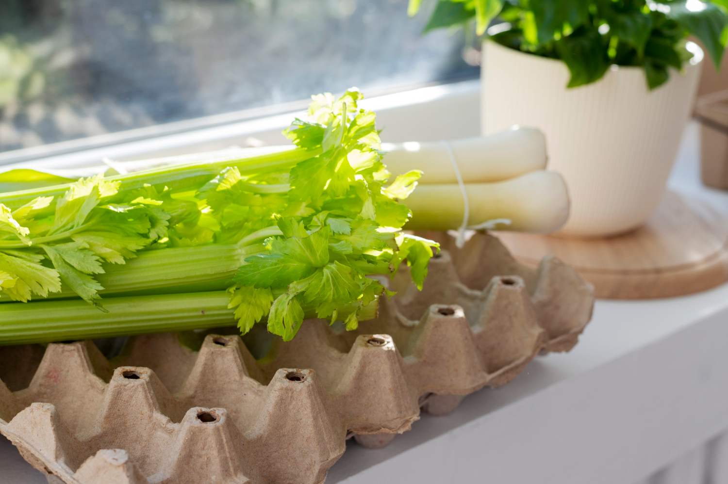 Duda Farm Fresh Foods Issues Recall of Celery Products Over Potential Listeria Contamination - Warner & Warner